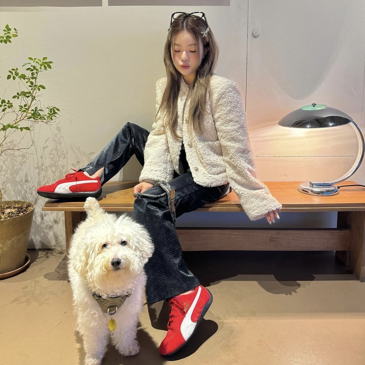 IMG_8596-1718953399158