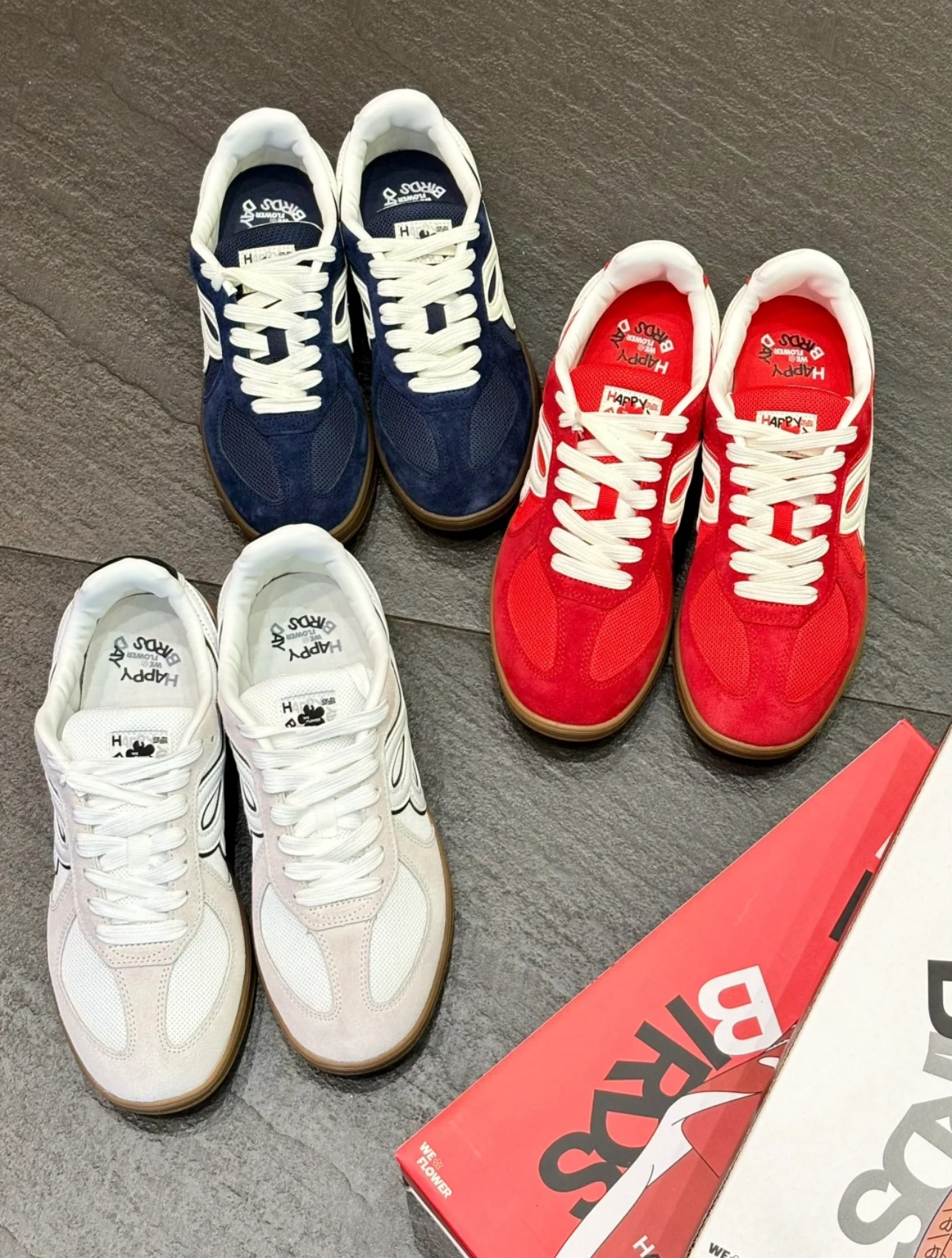 IMG_6703-1723805356525