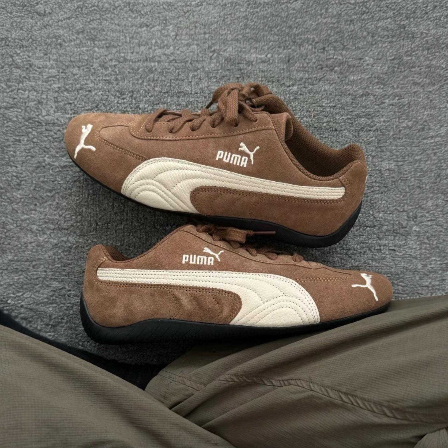 IMG_4979-1727881377947