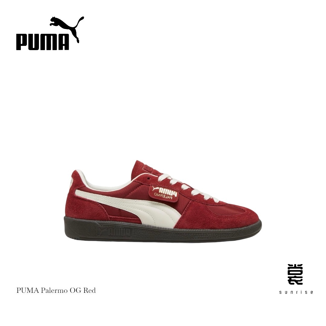 IMG_6988-1730547056359