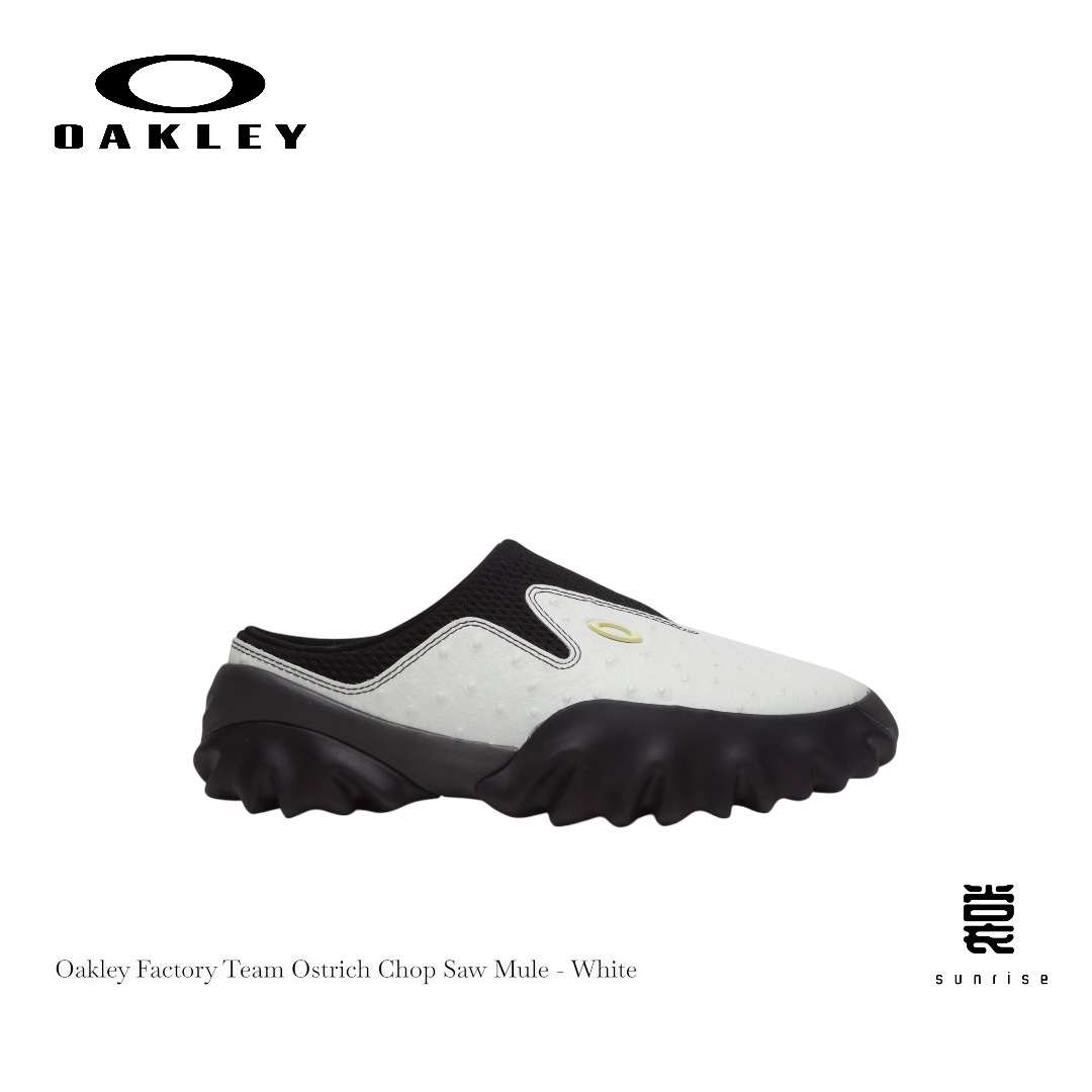 IMG_7898-1732099721070