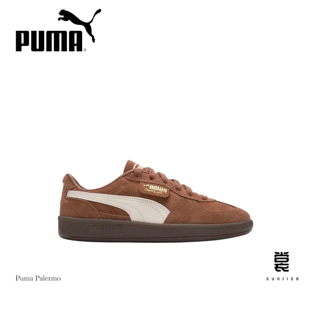 Photoroom_20241211_223703-1733927992496