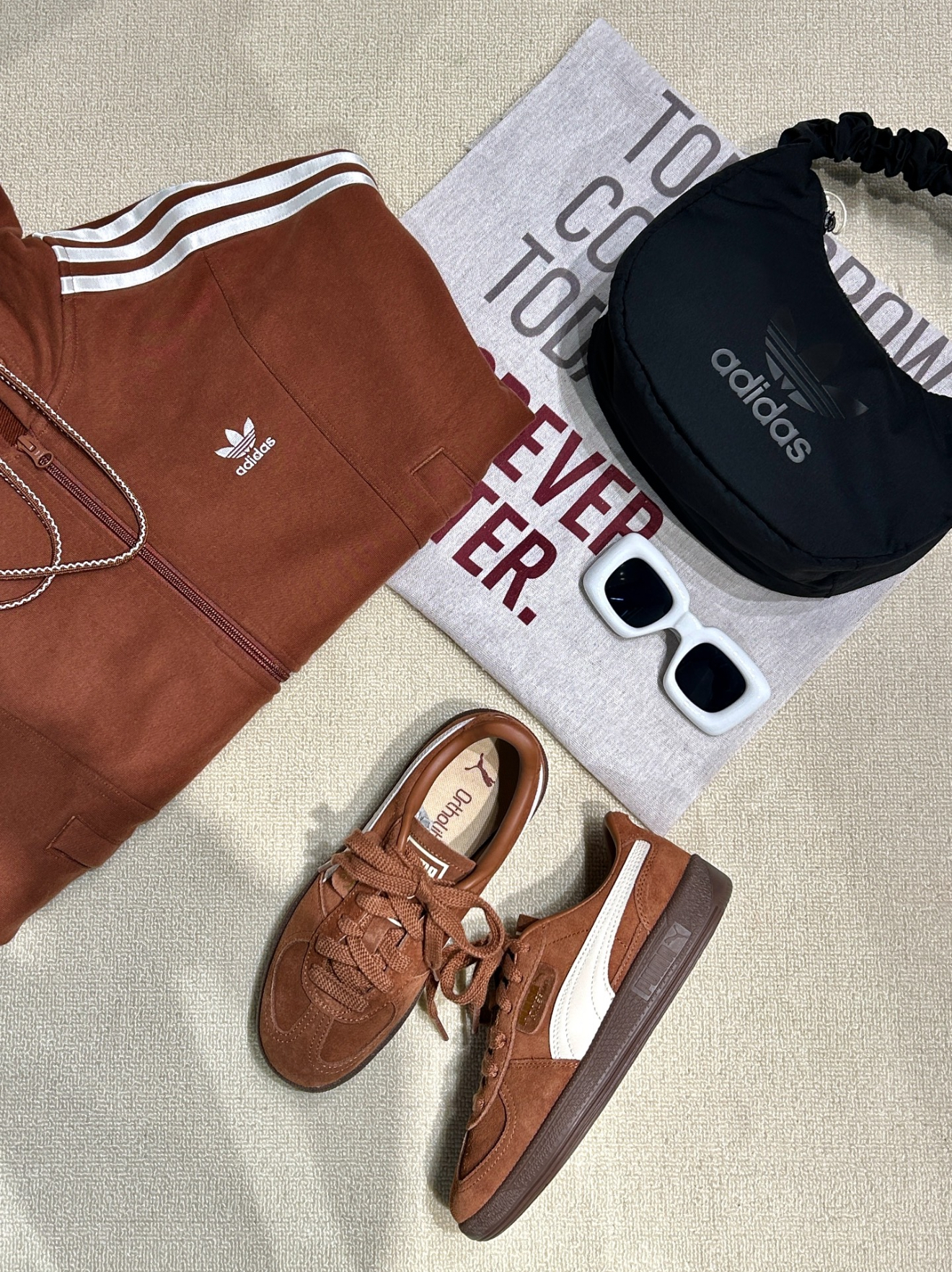 IMG_3564-1733927992493