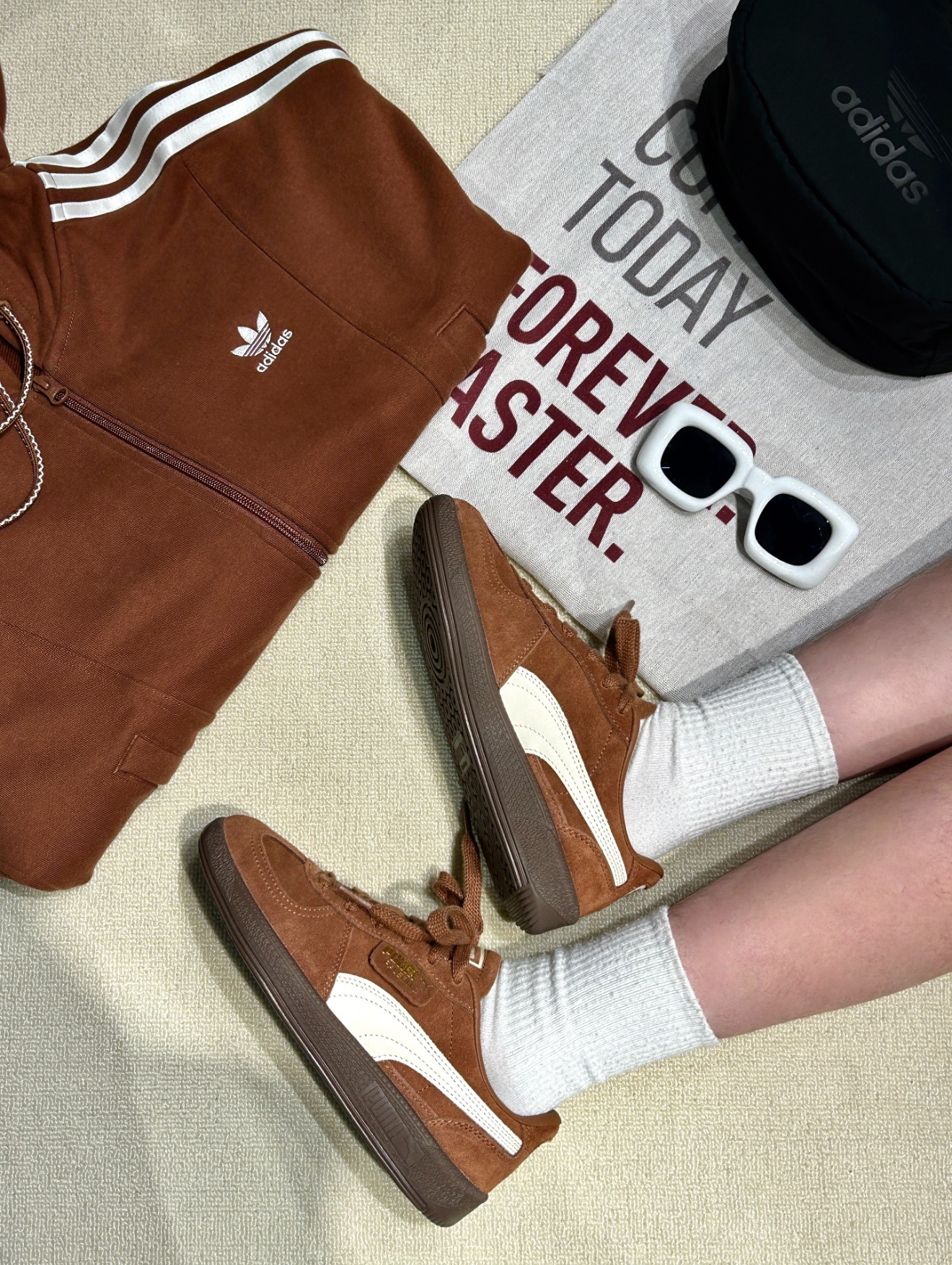 IMG_3565-1733927992485