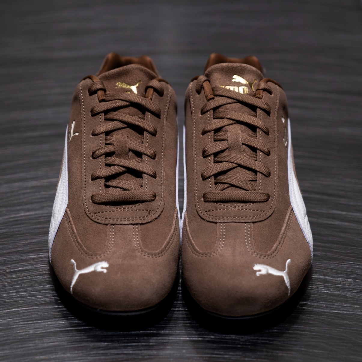 IMG_0364-1735978464097