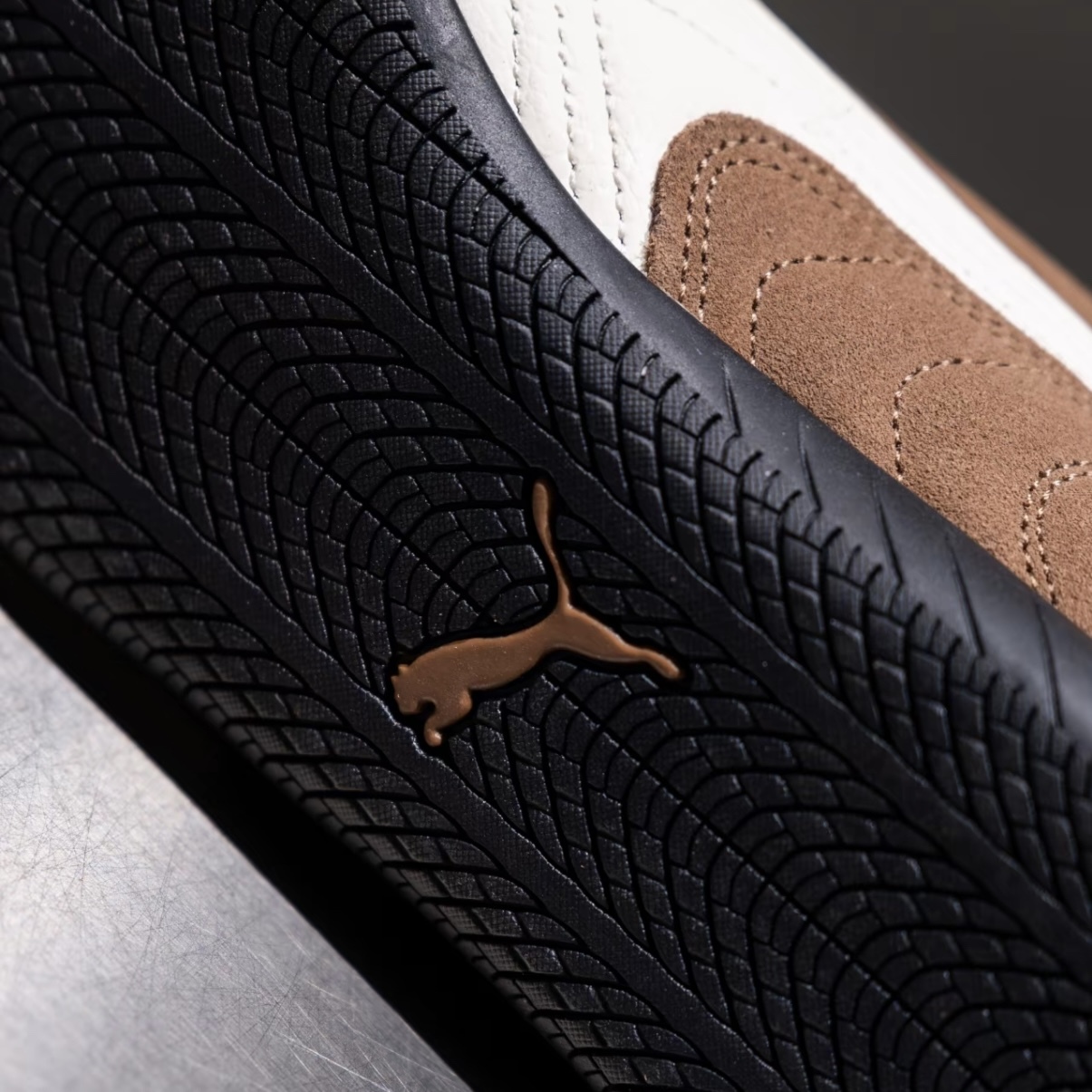 IMG_0359-1735978464109