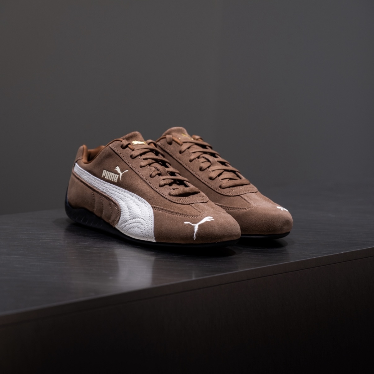 IMG_0366-1735978464088