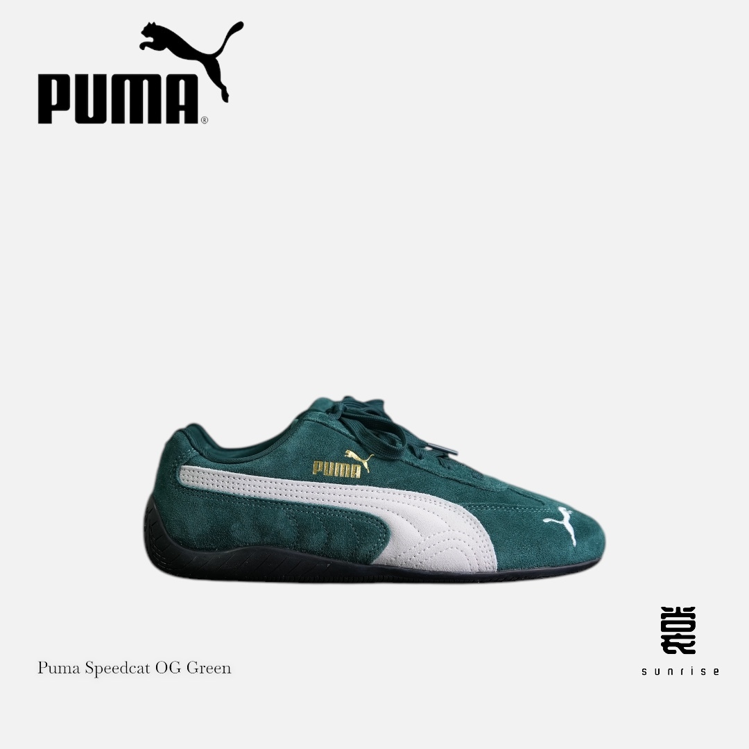 Photoroom_20250108_015958-1736272845059