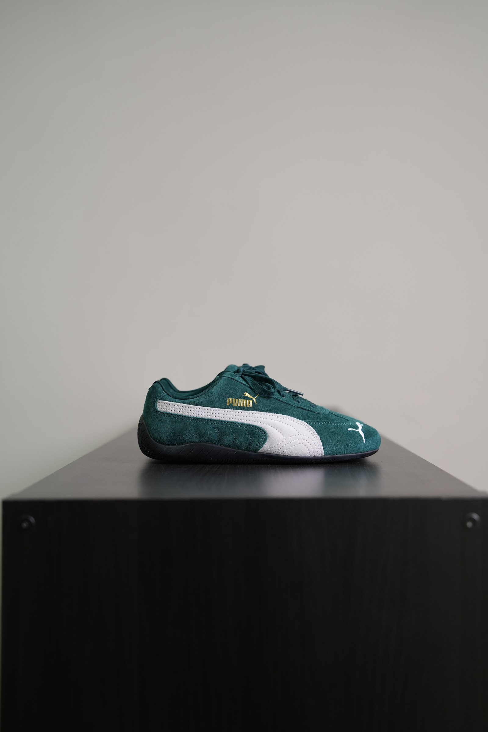 DSC03863-1736272845069