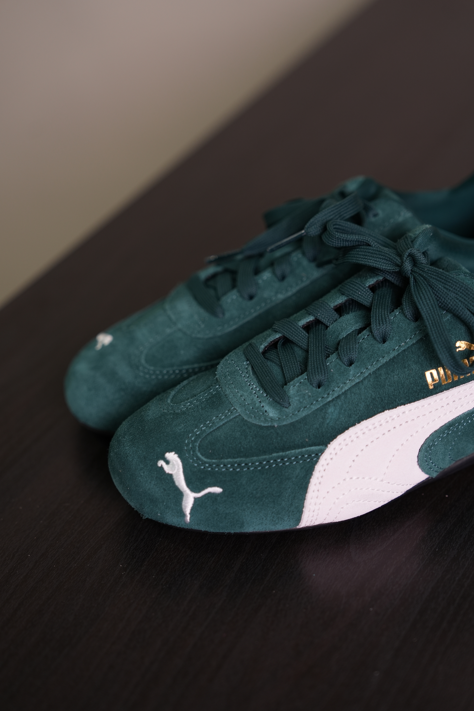 DSC03867-1736272845051