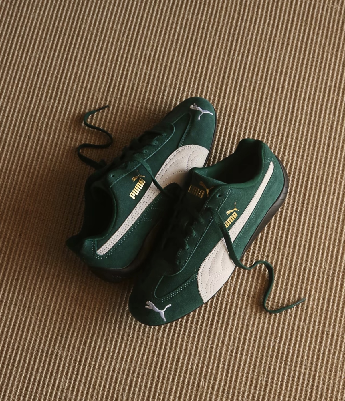 IMG_9877-1736272845047