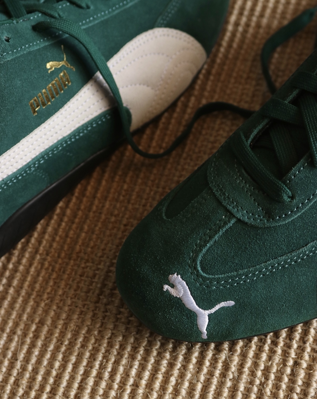 IMG_9879-1736272845057