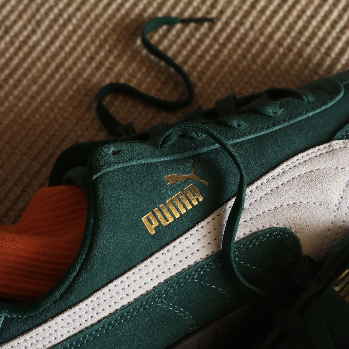 IMG_9880-1736272845067