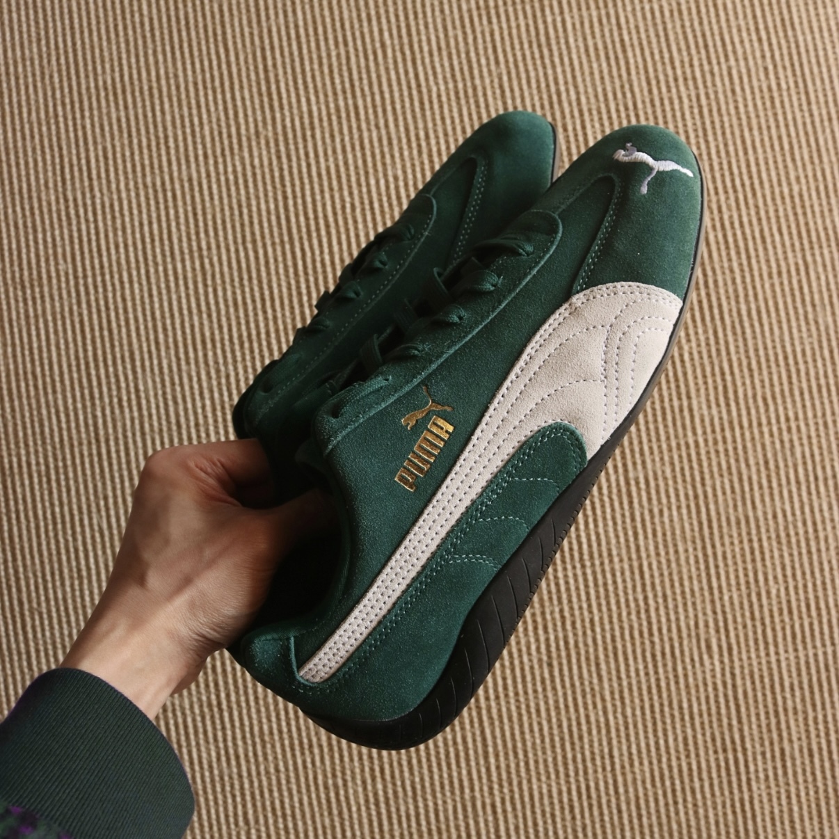 IMG_9881-1736272845054