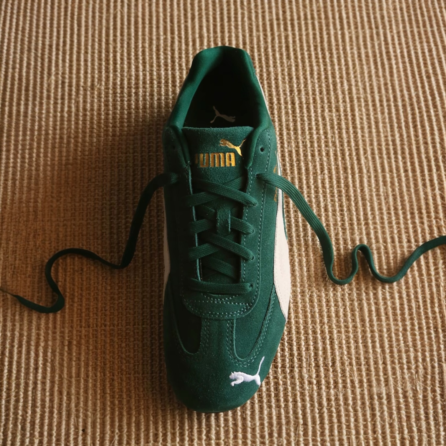 Photoroom_20241228_141341-1736272845050