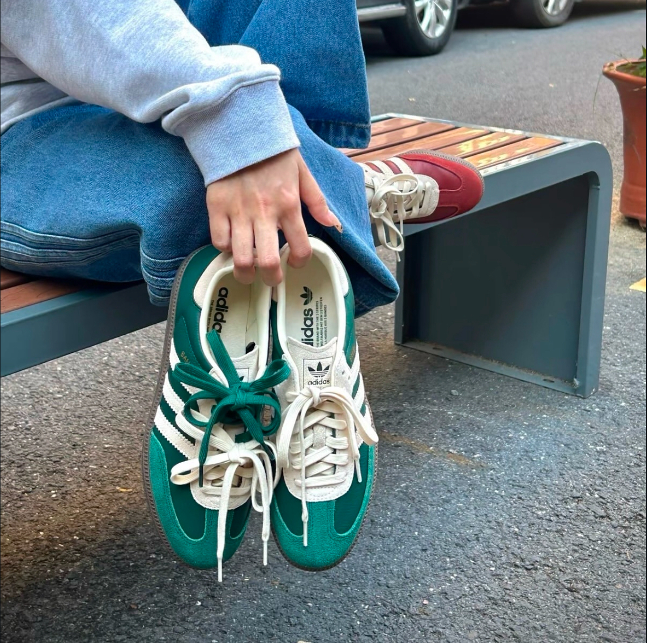 IMG_5337-1736336689946