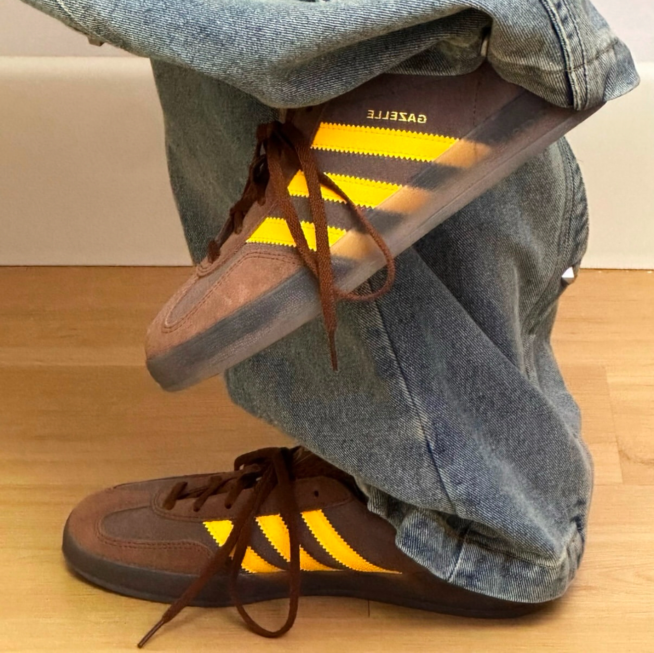 IMG_5372-1736352154515