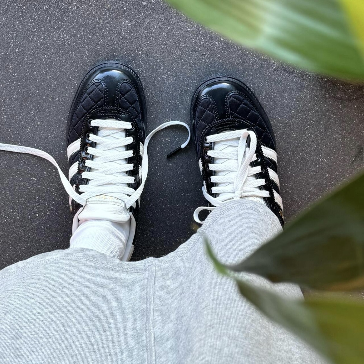 IMG_0747-1736418922791