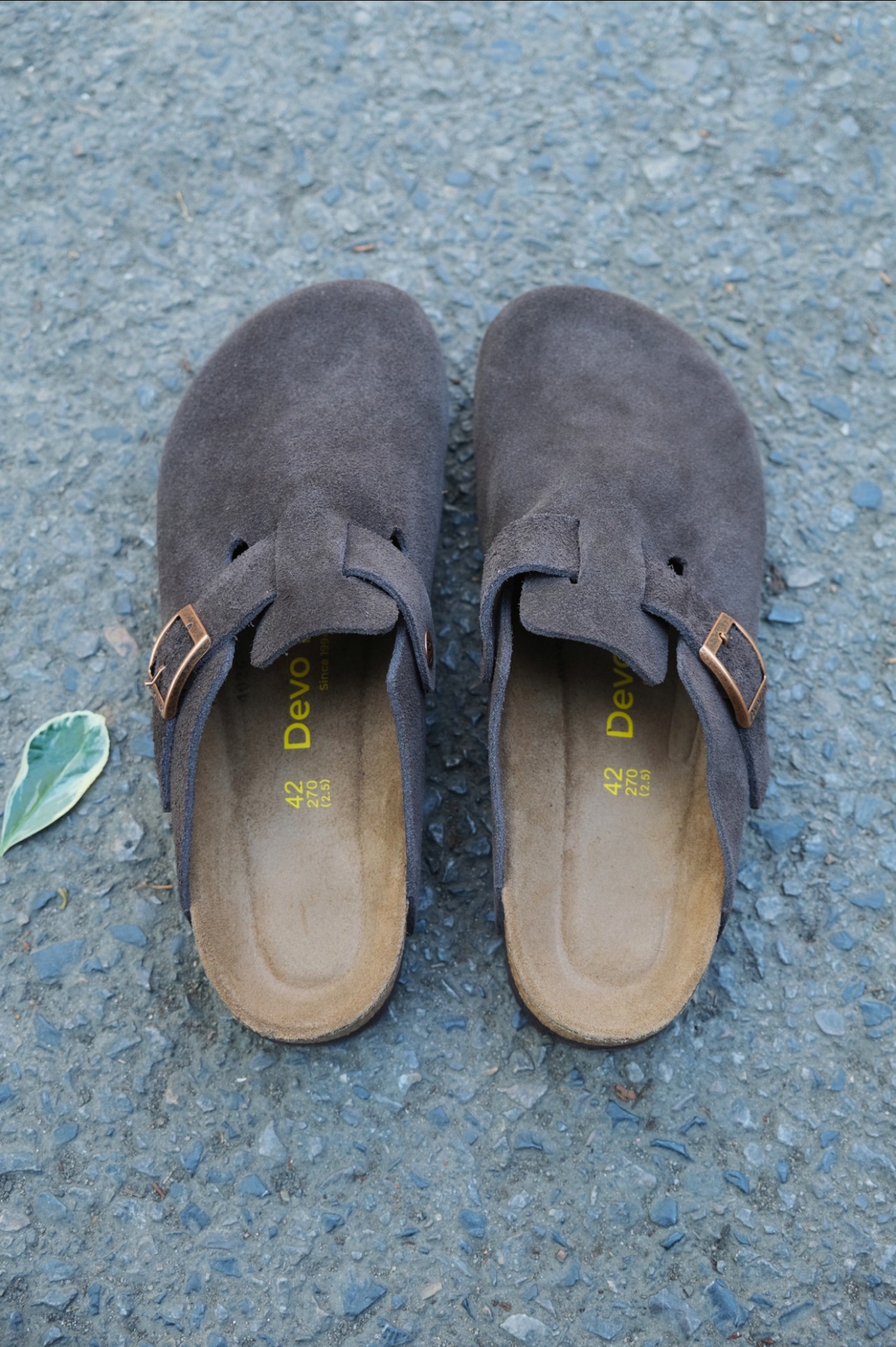 IMG_5508-1736448963133