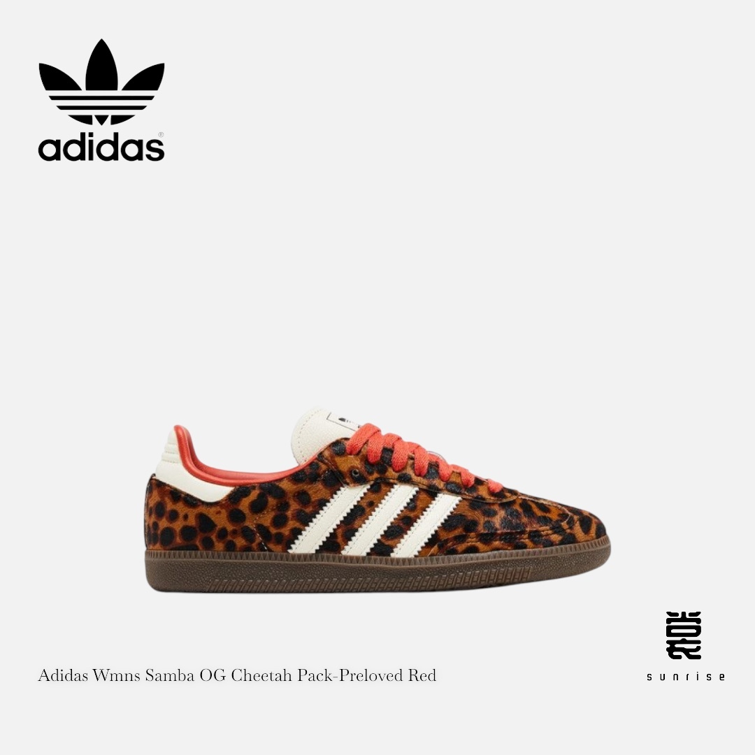 Photoroom_20250203_184654-1738579647459