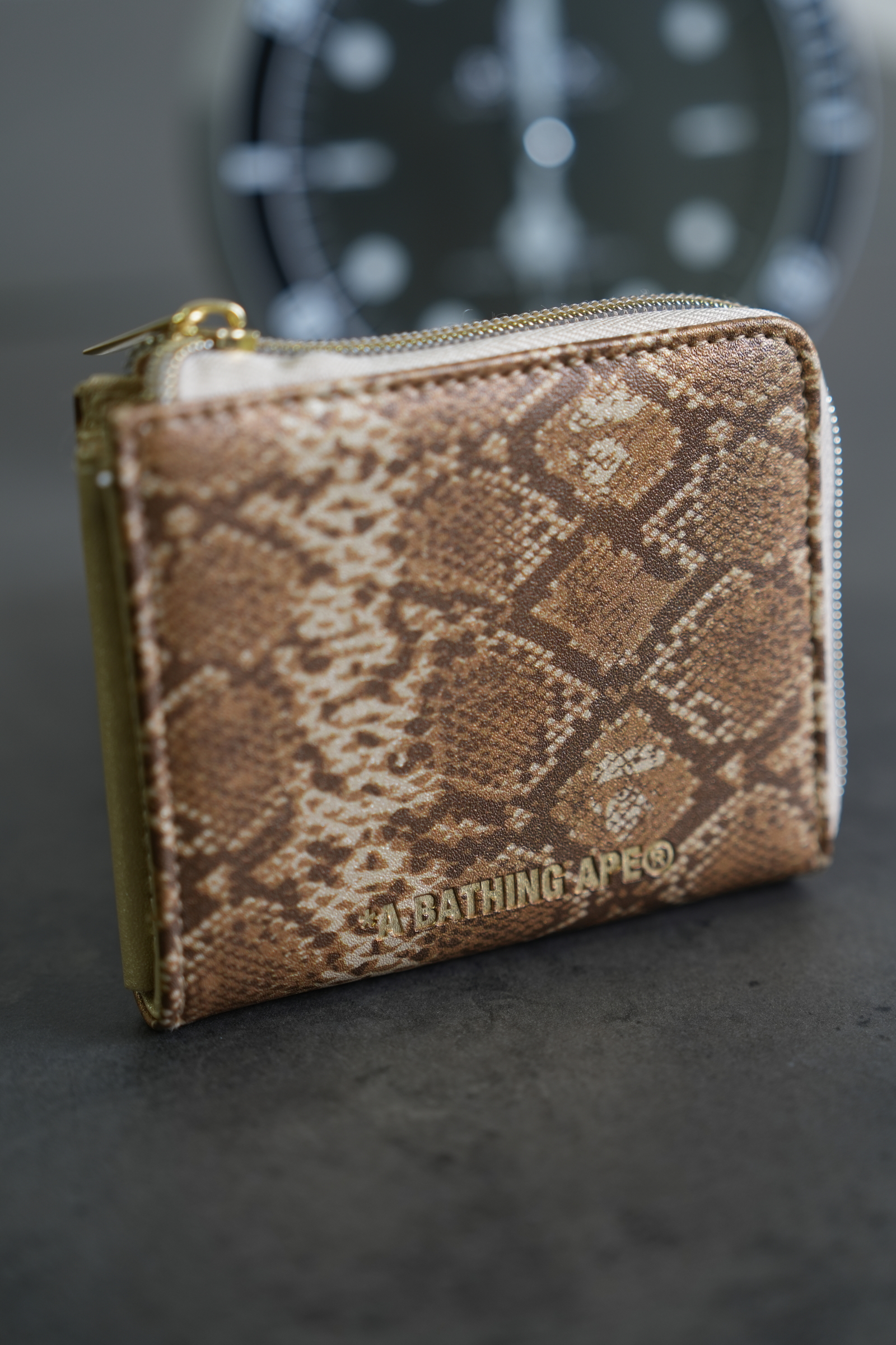 DSC05562-1738683616296