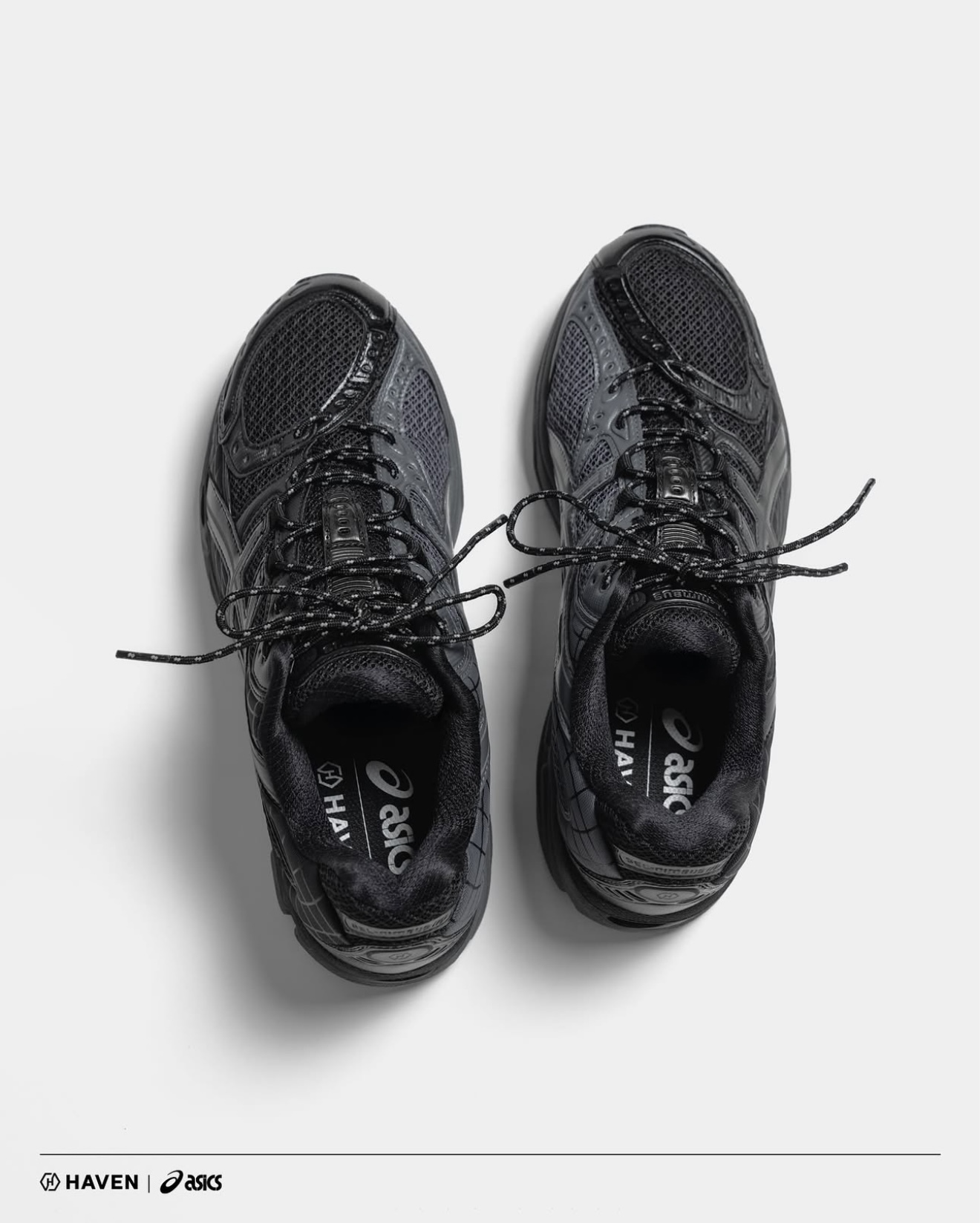 IMG_7529-1739353903836