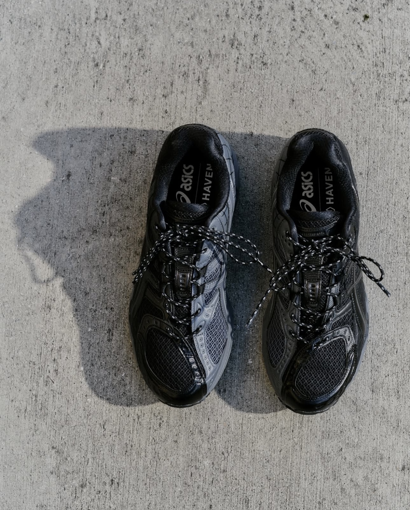 IMG_7532-1739353903833