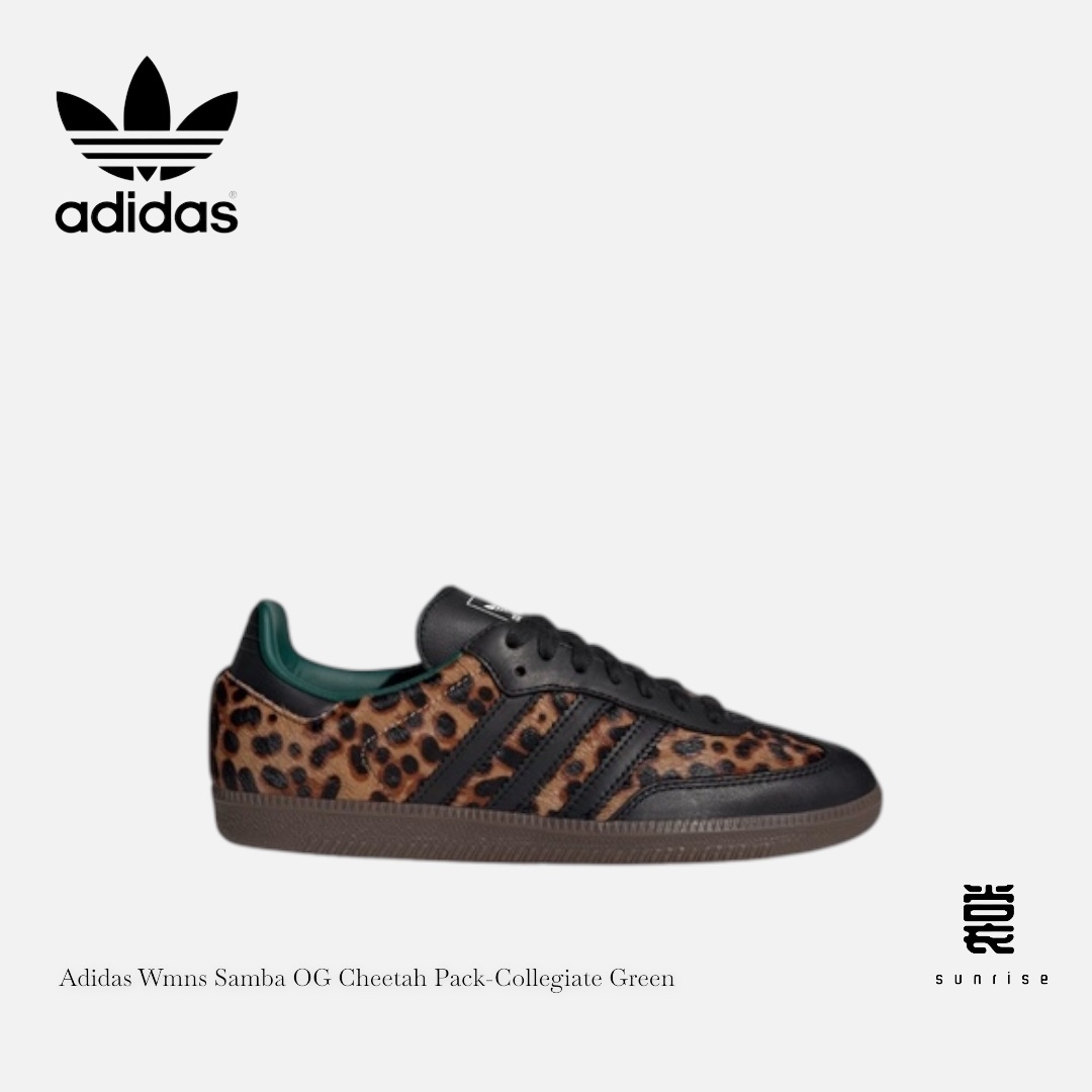 Photoroom_20250214_191654-1739531850207