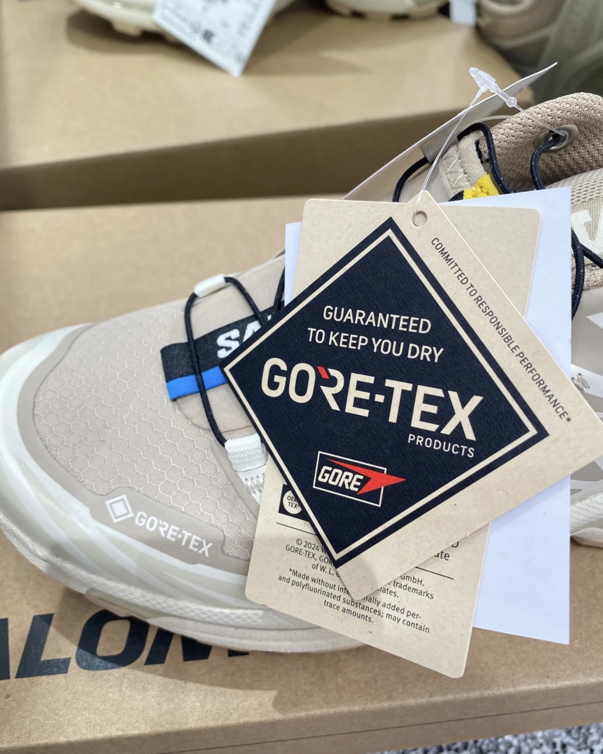 IMG_2965-1740653809488