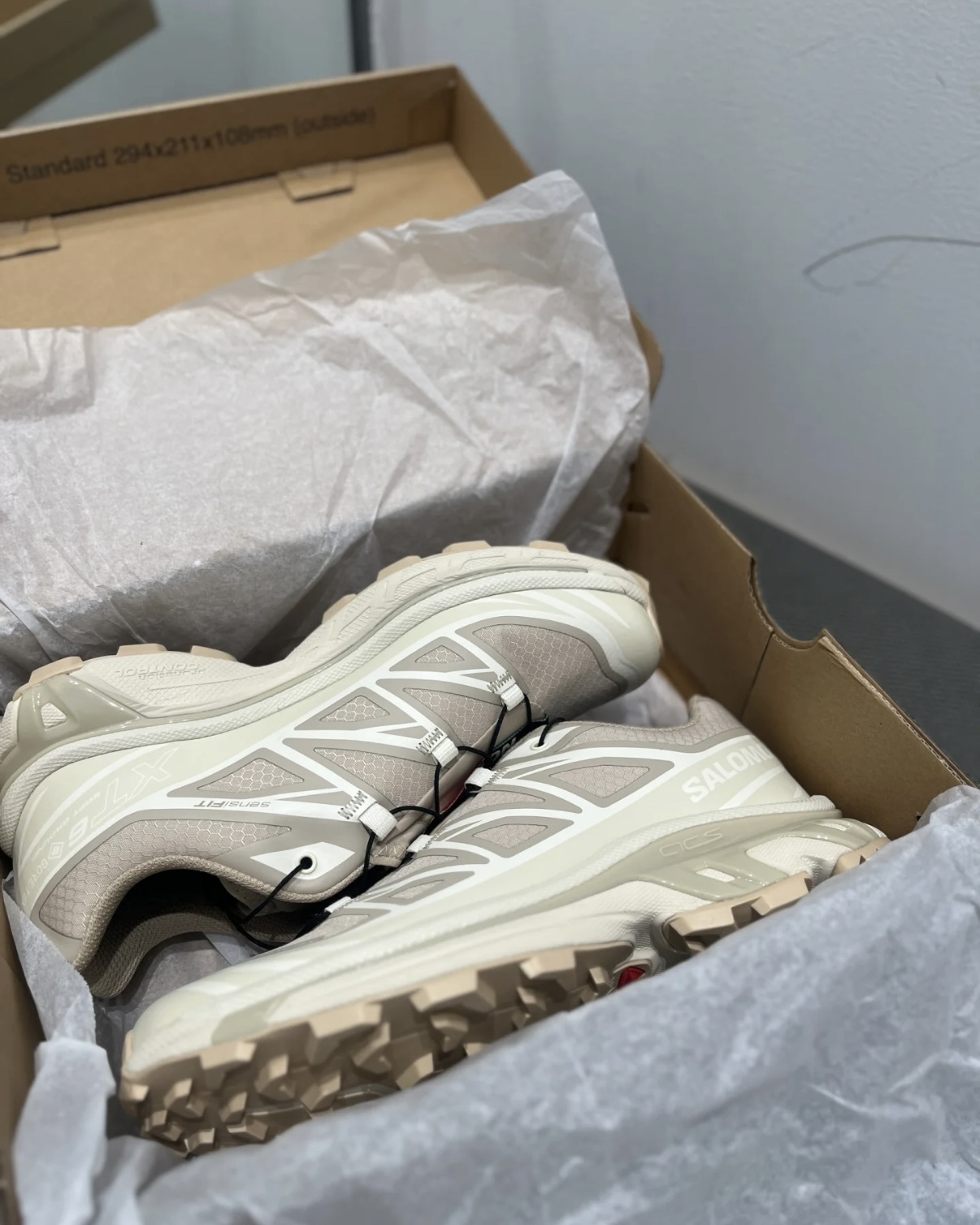 IMG_2962-1740653809498