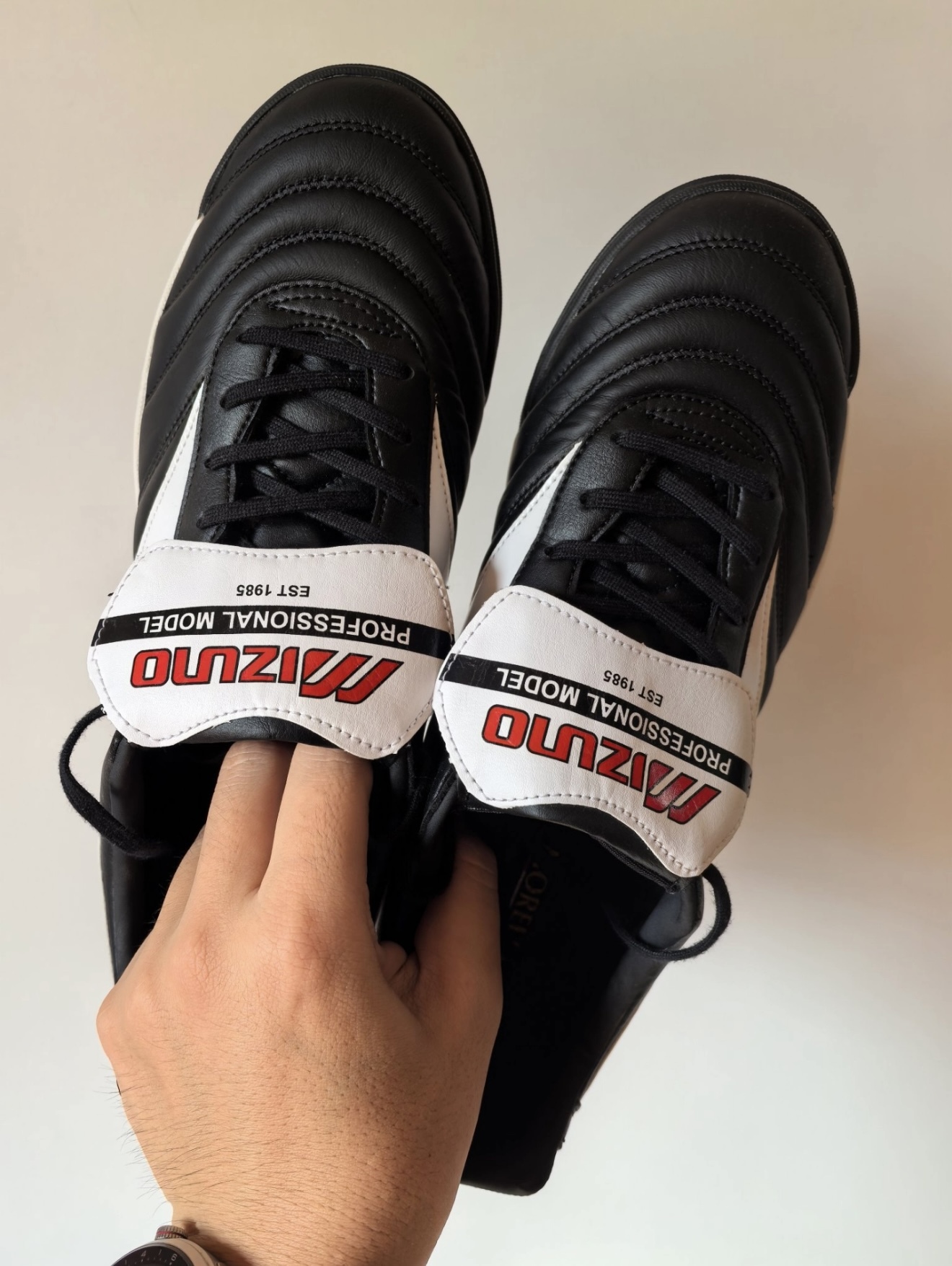 image_022A2F8F-5011-44AD-88ED-B8F74D73D6CE_1745834028