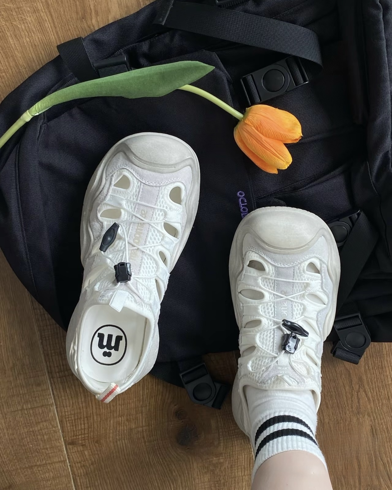 image_E4E68FBA-EA9D-487F-B1F2-0B15EF7666E8_1746851057