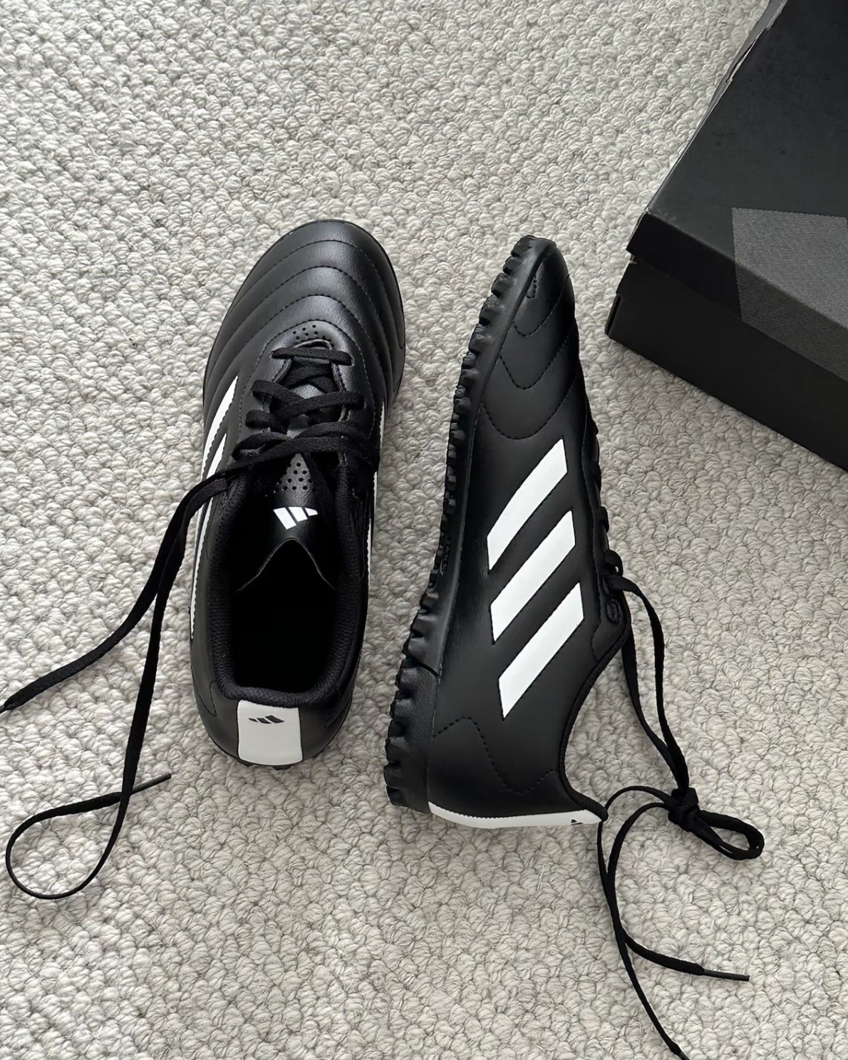 image_DBA40F1D-9046-479D-AC95-F4EDD4FF2DA5_1750588748