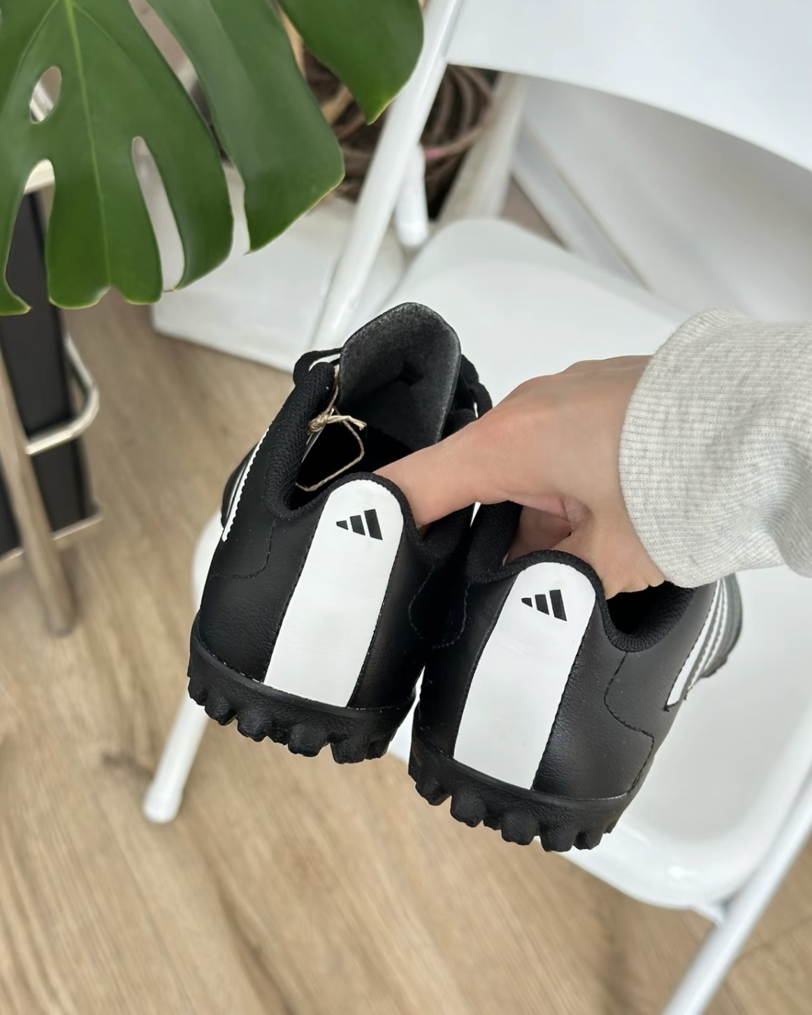 image_ECEA2518-B00F-404E-807C-BDF9A0C8CF0C_1750588748