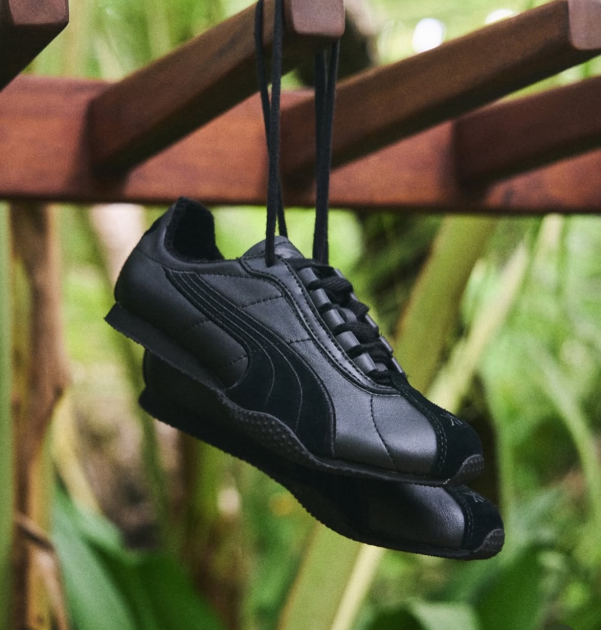 image_FB8382DE-59EC-4475-AD9D-D18BA9696F42_1752749340