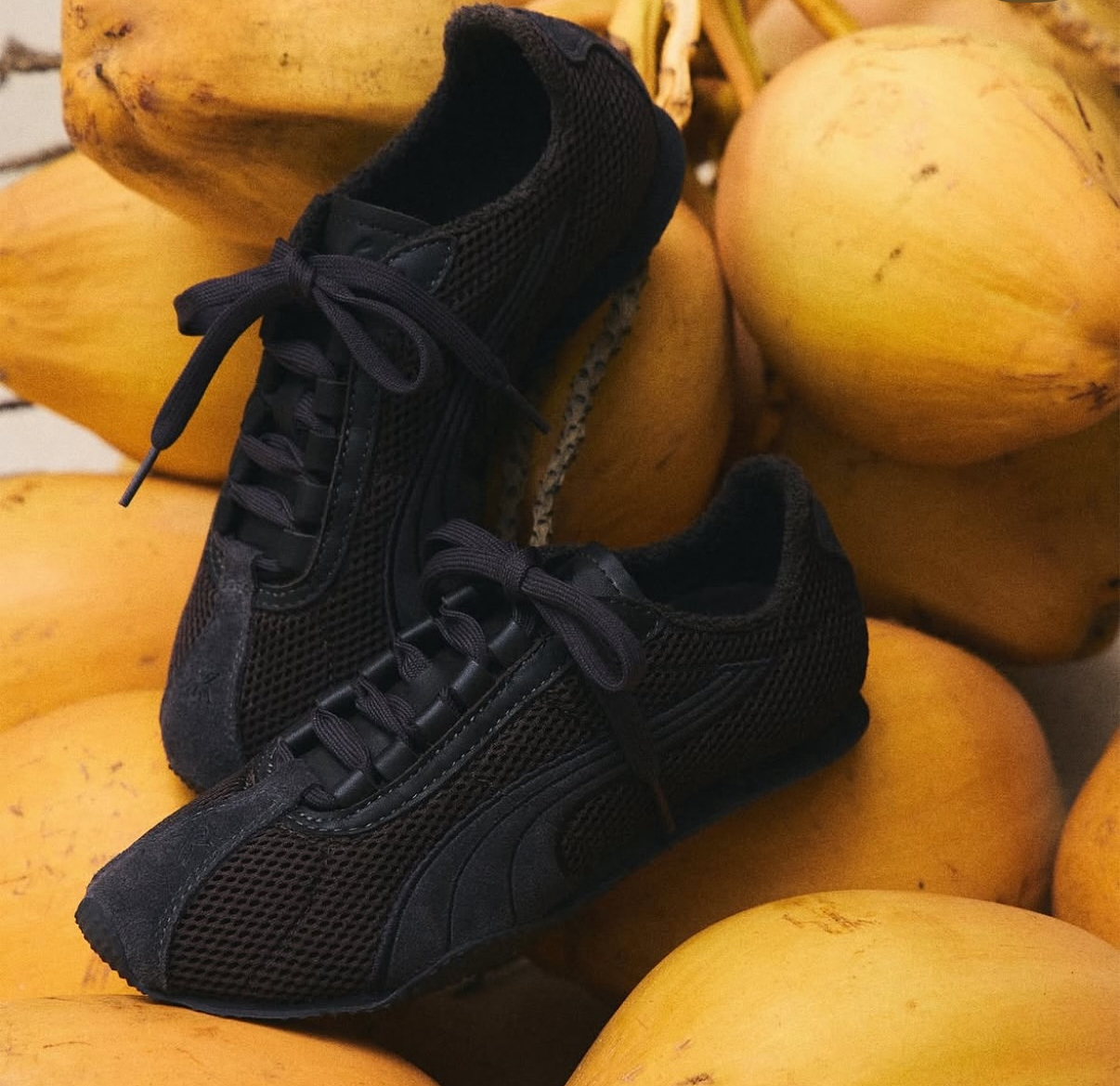 image_CD8A6856-1BCD-4CDB-A57C-8E0A0E84995C_1752749340