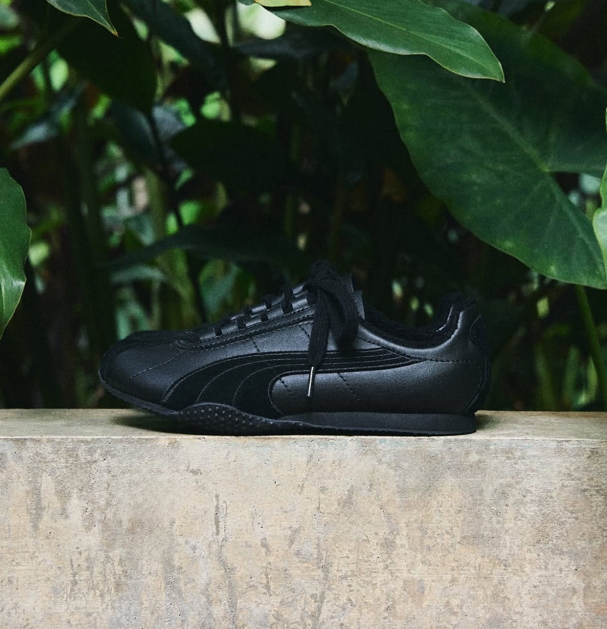 image_7CE124A4-D8AB-4A5F-93DD-B67117EAC222_1752749340