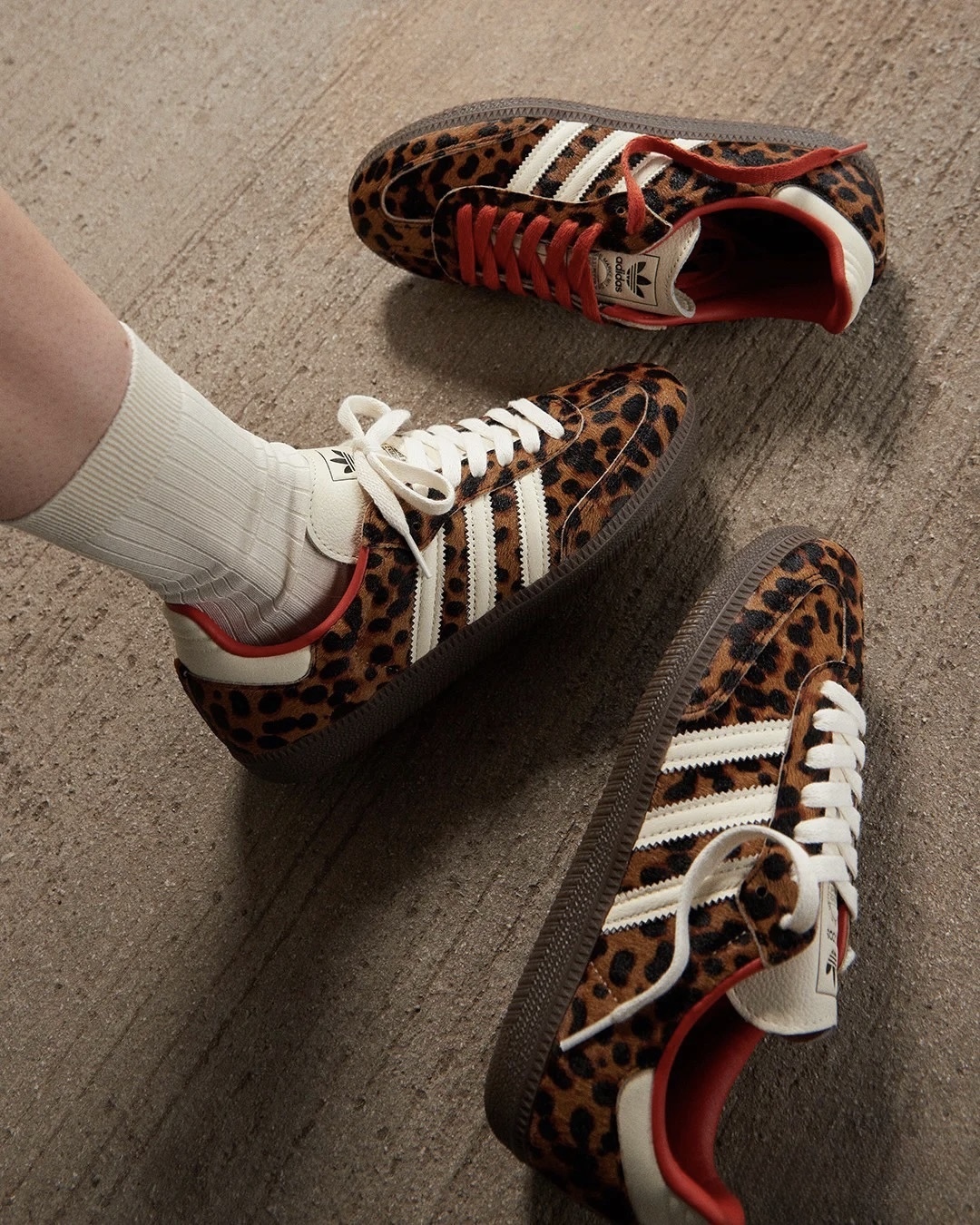 image_13962D8E-F21C-44A2-99B2-C8A4B0C4BE0C_1753355717