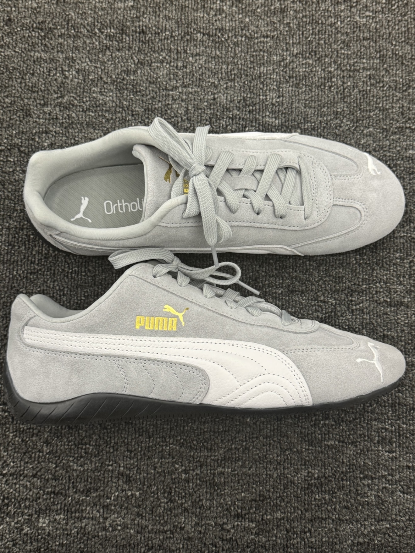 image_2B155A95-F818-4353-AB1B-F58E902139D8_1754064059