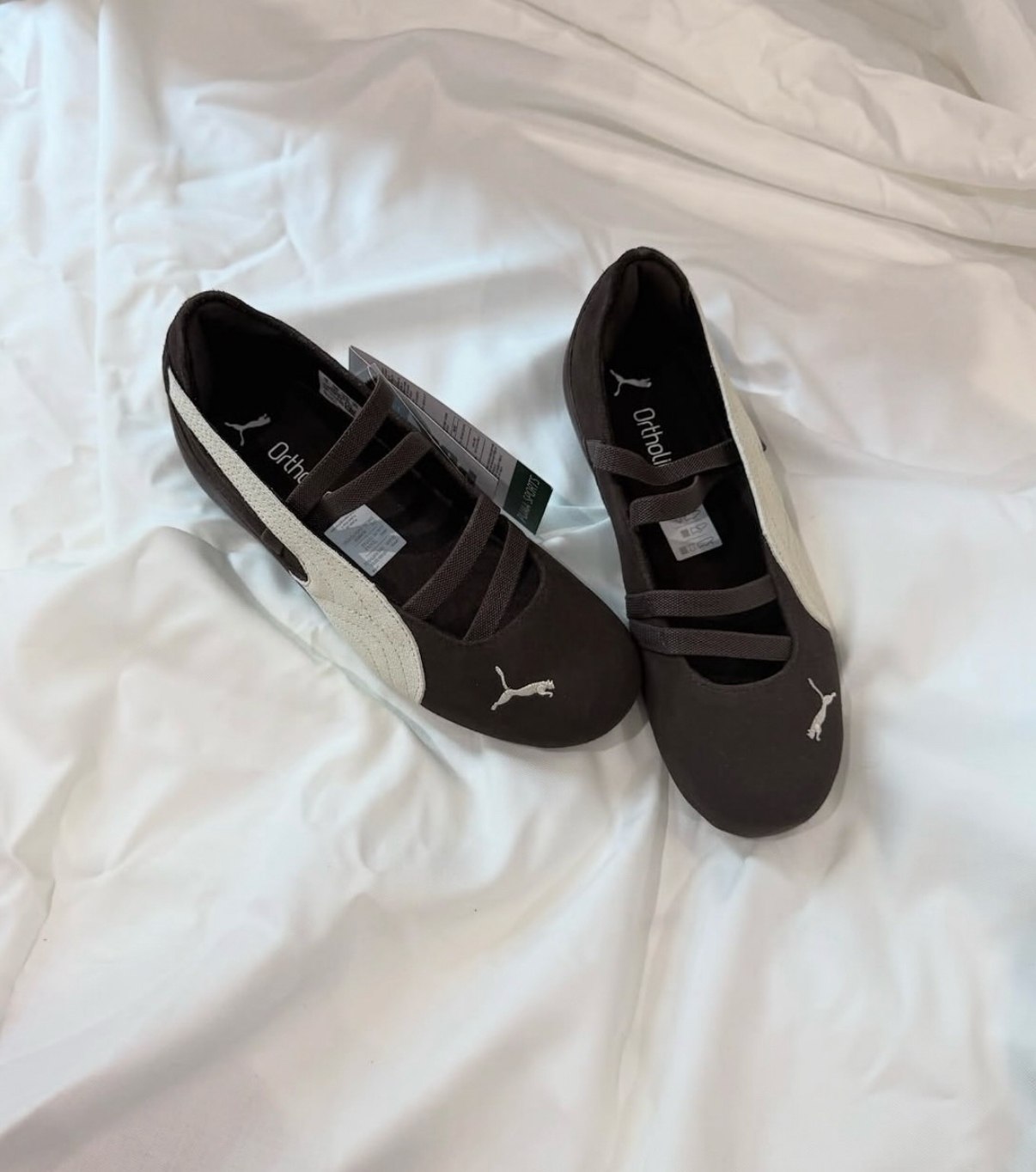 image_161A8D2B-FADB-49F8-8792-932148AE5616_1754405387