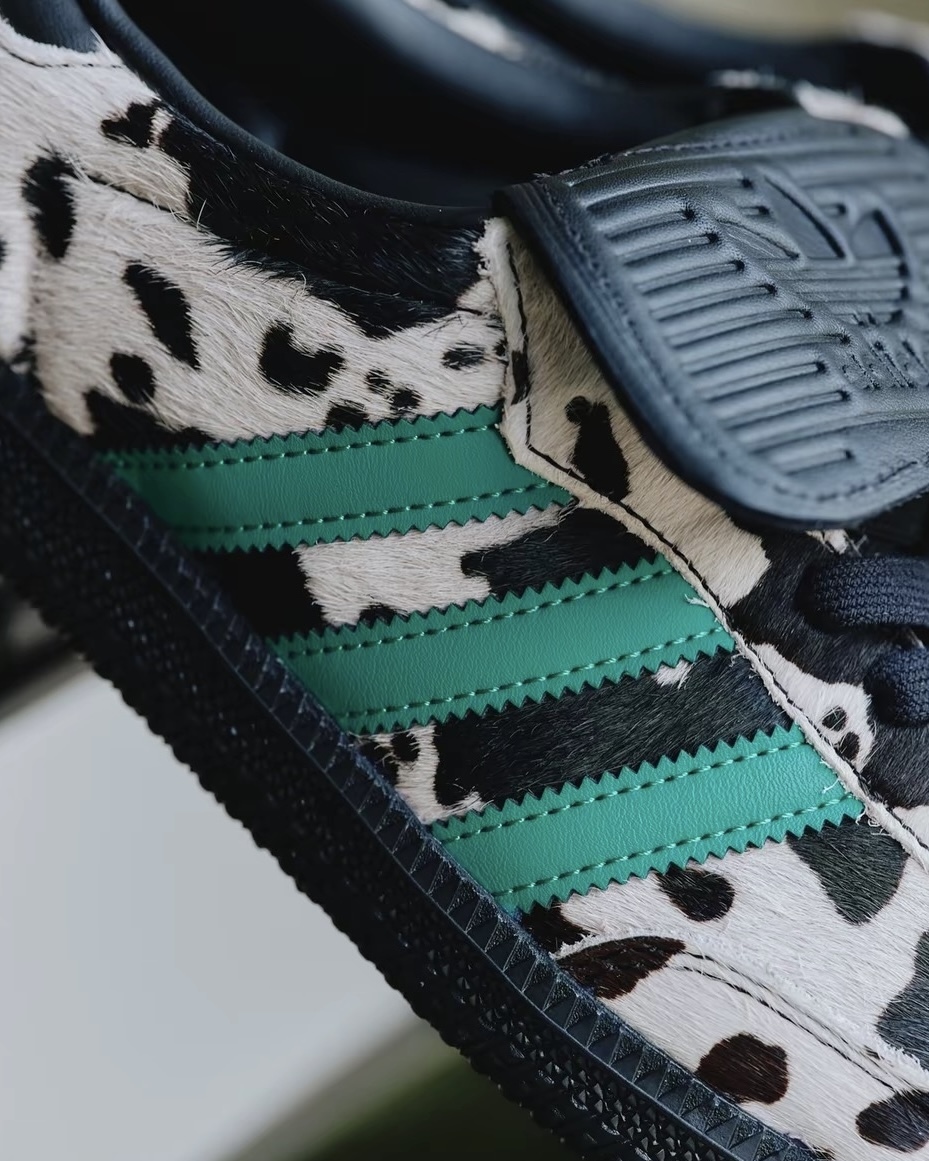 image_A2AA92FD-3024-49B9-AEE9-E6DB92A5C8E0_1754896606