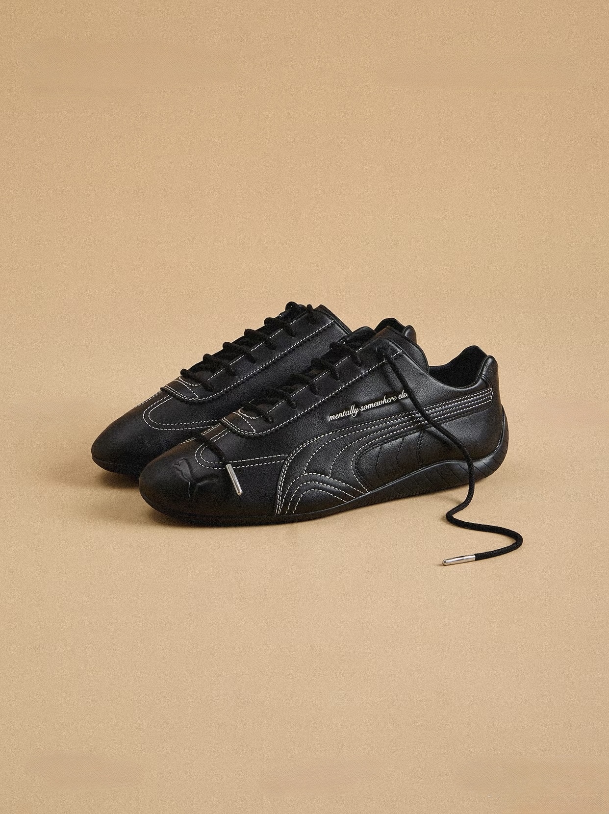 image_74CCD439-2C9F-430B-A749-1C73A65CA543_1755424563