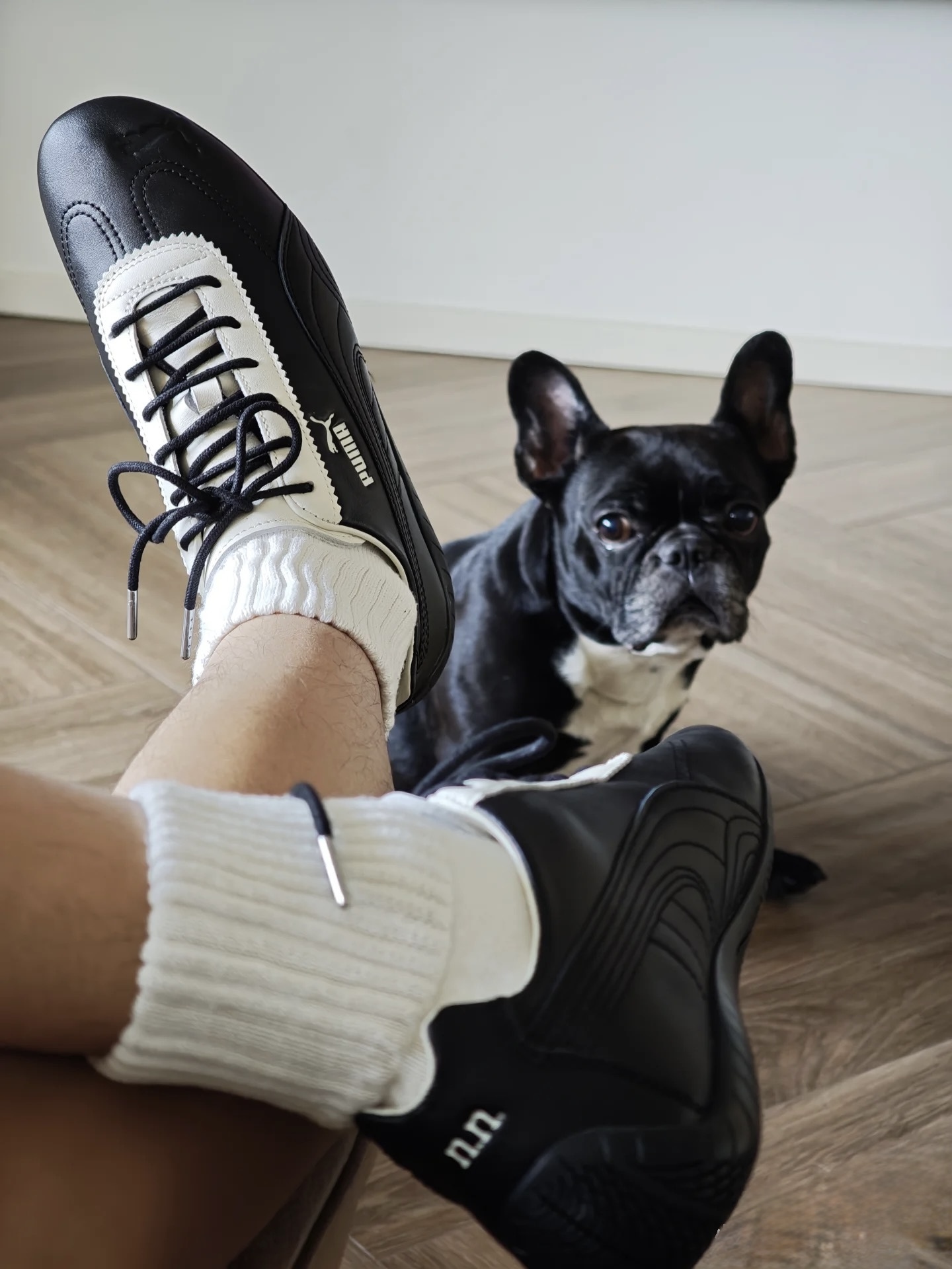 image_94D3457F-28AF-4423-8DE6-F8DA8E7C220A_1755424563