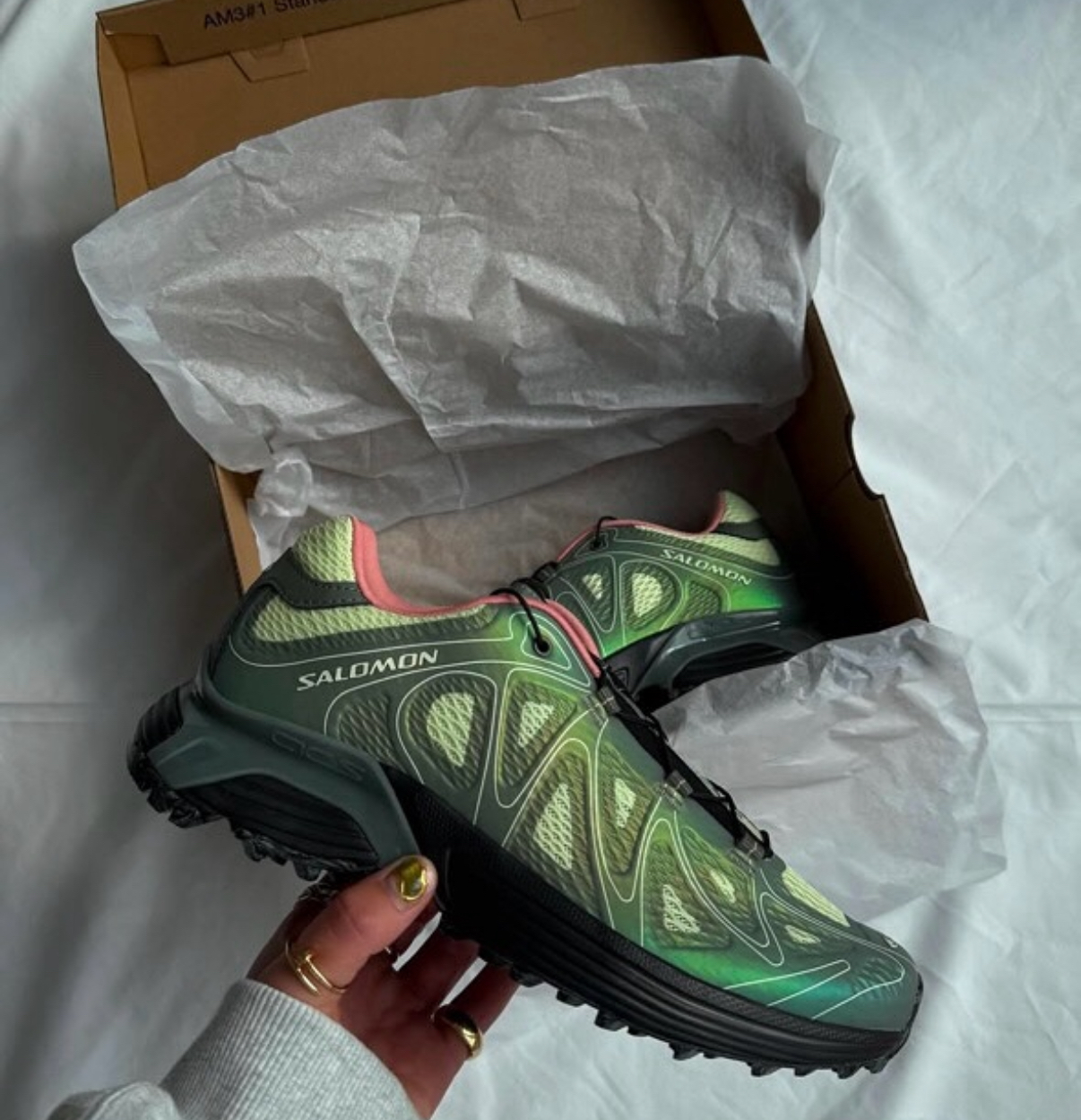 image_2DB8E4B6-CB61-4A30-8C39-8DFA4E1A01A9_1755522295