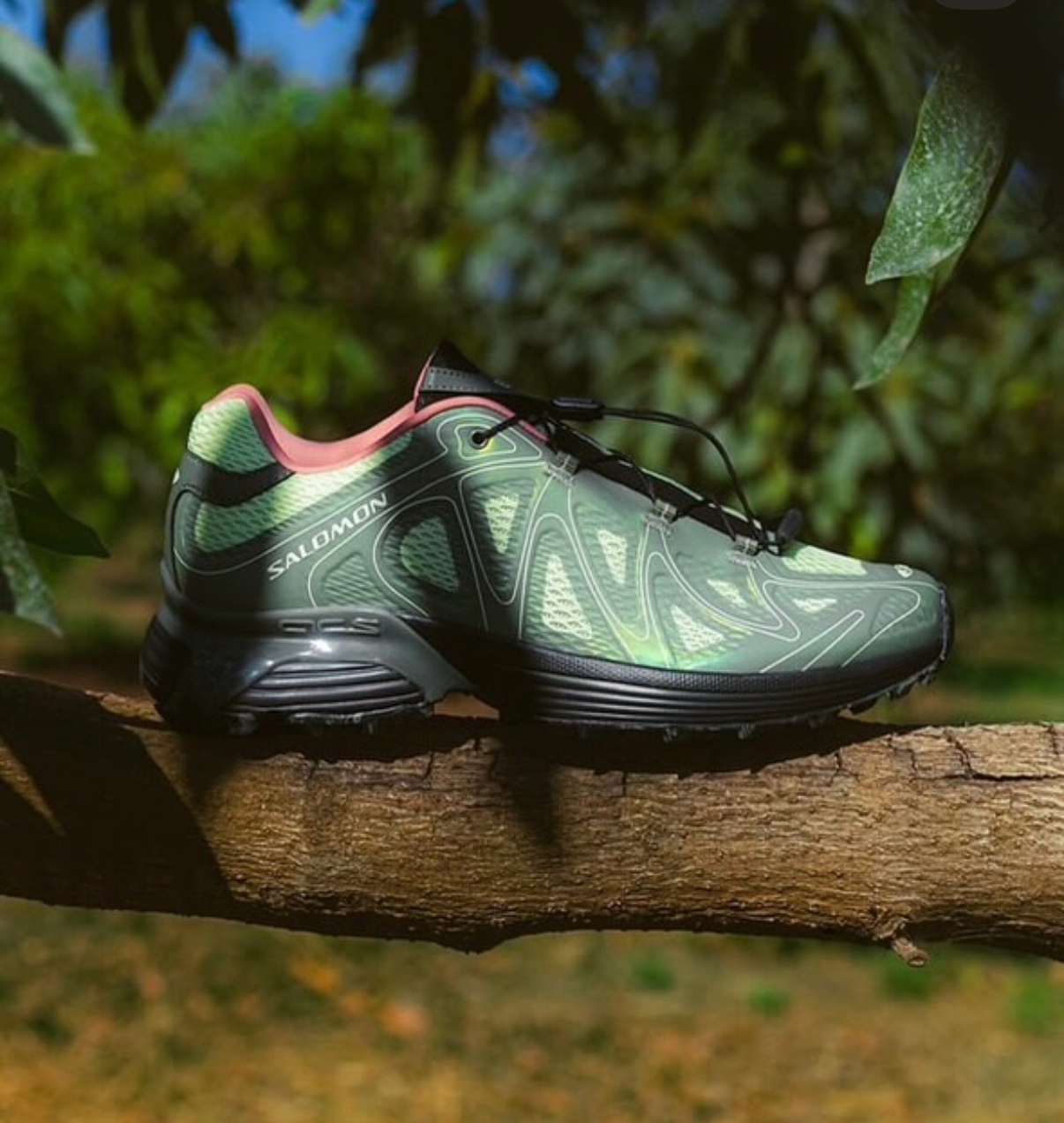 image_63DF4BA5-56E7-4111-B457-7A522E3AAB39_1755522295