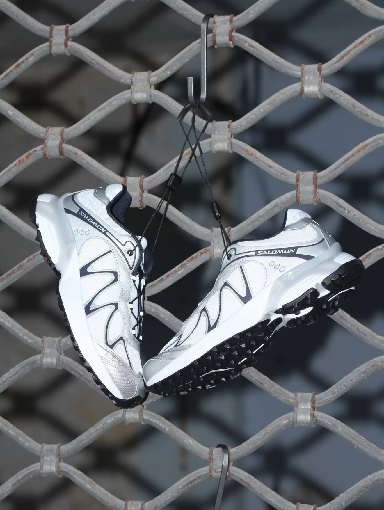 image_0B184006-D395-4198-B9D3-ED0ADCE8DBF5_1755527060