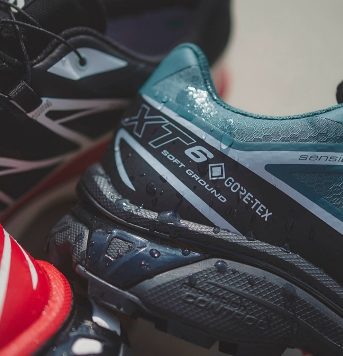 image_F97D602F-AEAE-4A37-93AD-9A6F17F1179F_1756009031