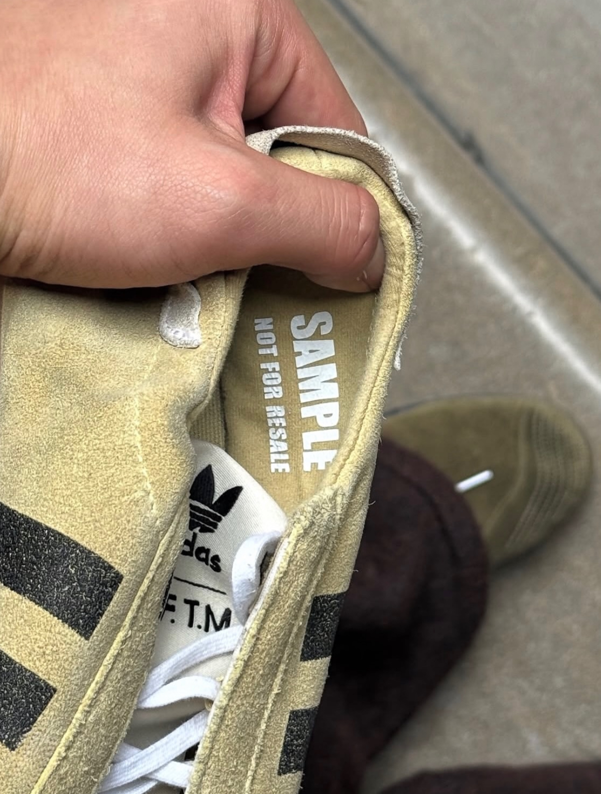 image_B1DE745A-E504-4033-8E0B-EE4DC18BE05D_1758347078