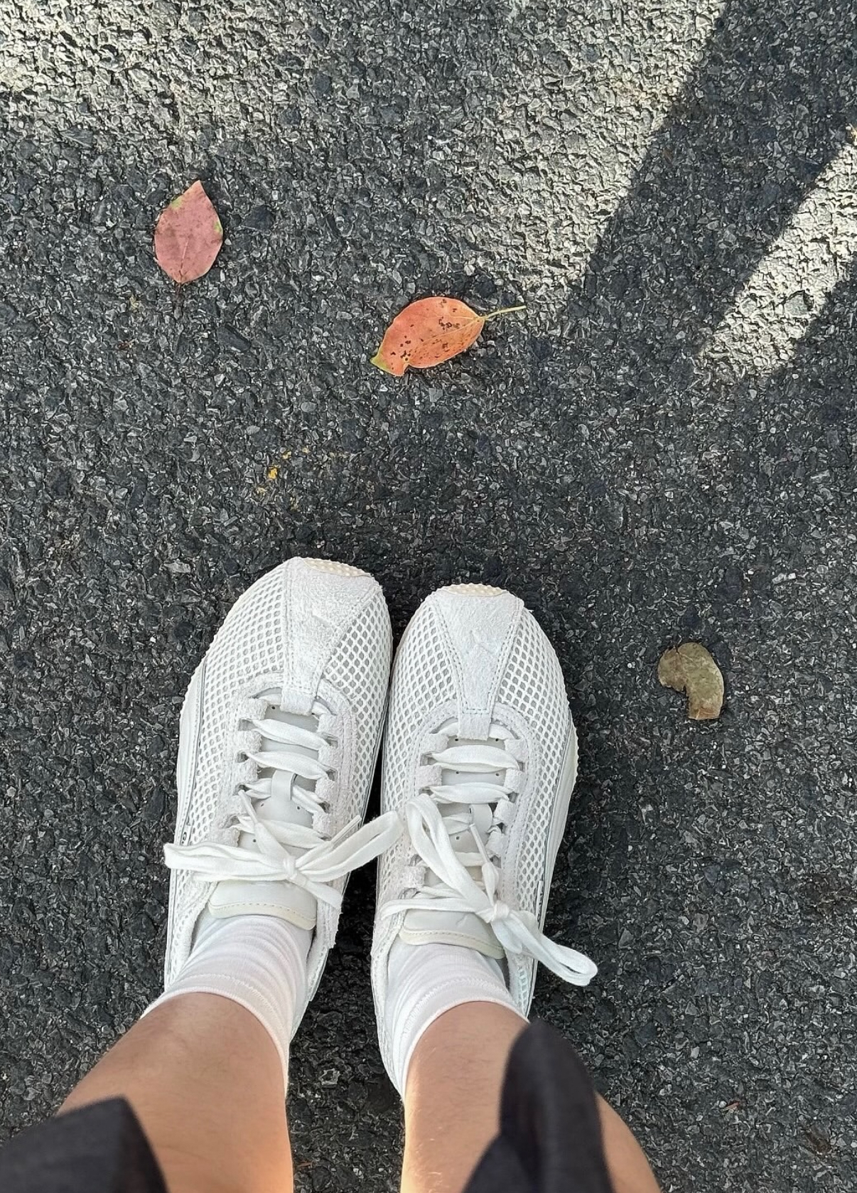 image_5BCE9165-8FE6-4AE4-B565-BEB9FCB7FCAD_1758622941