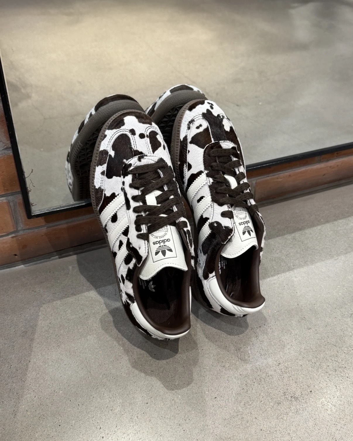 image_0B9509C6-6713-4995-9ED7-E590828F72F5_1758696651